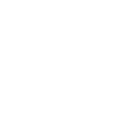 Tiktok Logo